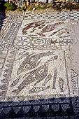 Creta - Agios Nikolaos, la baia di Elounda. Mosaico del pavimento con motivi marini unici resti di una antica basilica paleocristiana. 